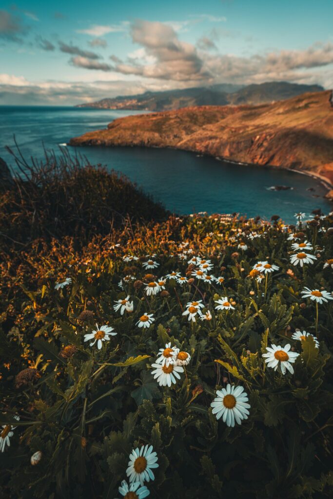 Ostspitze, Madeira