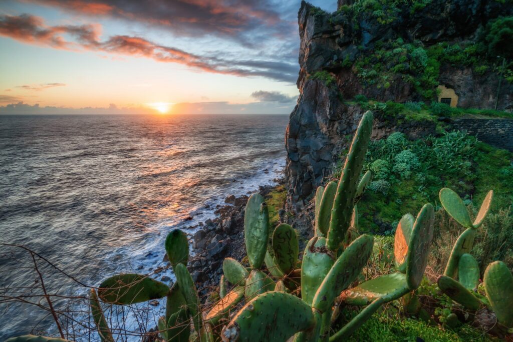 Brandung & Steilküste, Madeira