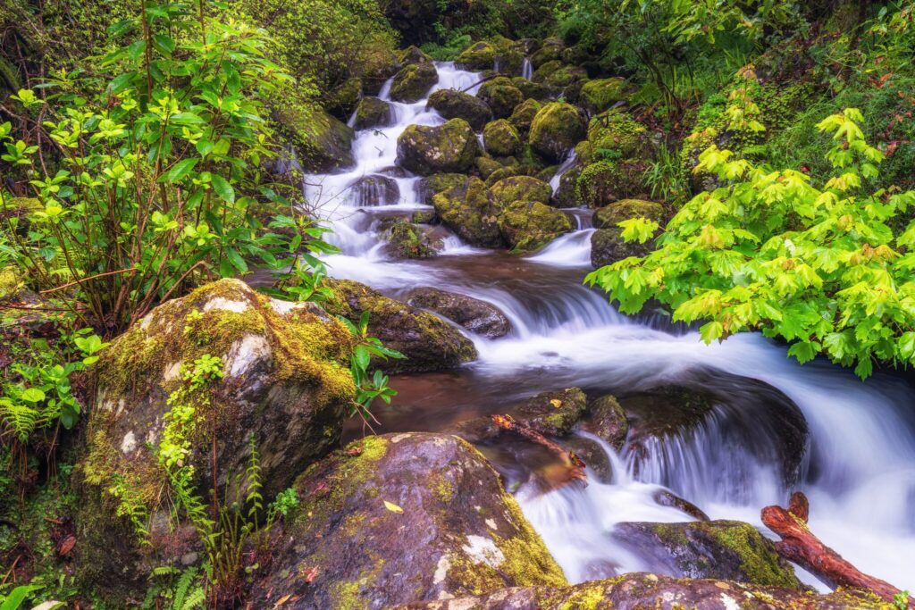 Levadas & Wasserfälle, Madeira