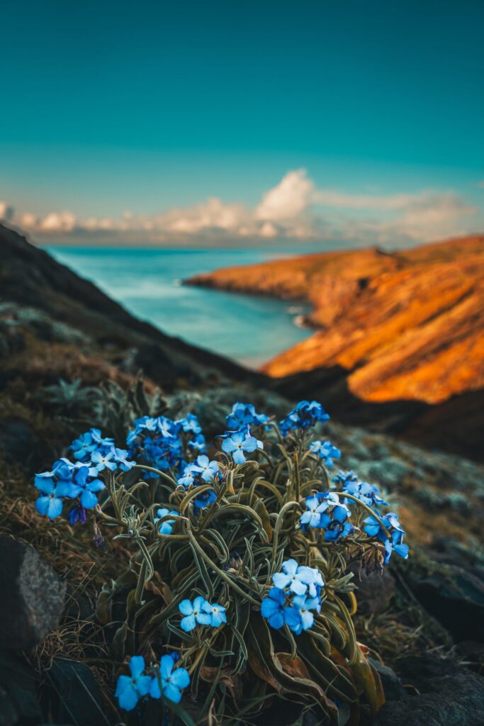 Ostspitze, Madeira
