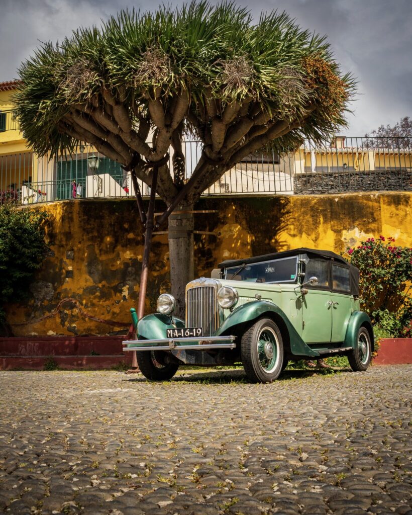 Orte & Begegnungen, Madeira