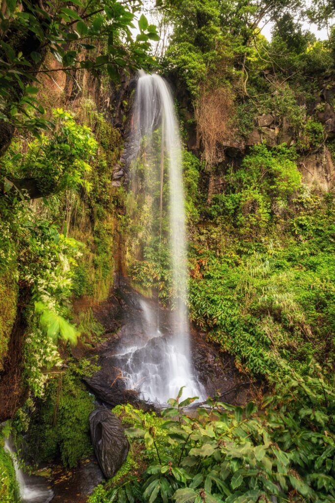 Levadas & Wasserfälle, Madeira
